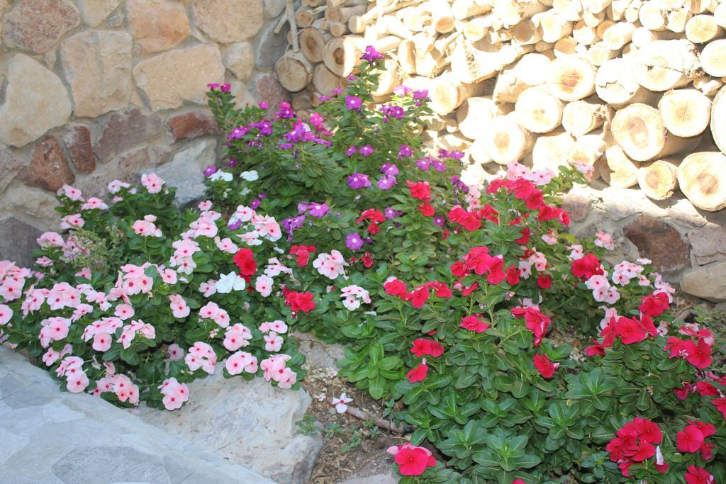 Modern&Quiet Place Eilat Exterior photo